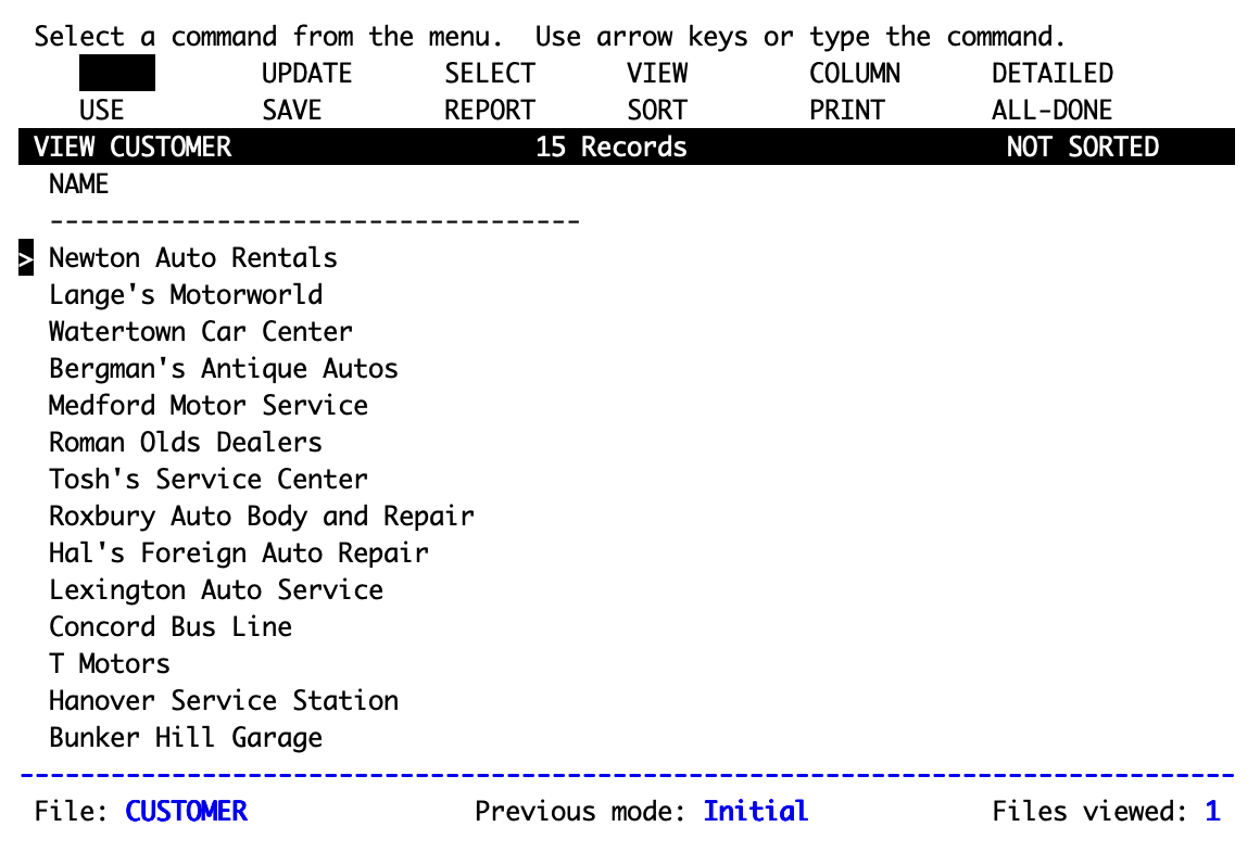 A terminal-window screen displaying a database view. The upper lines are a menu with commands like UPDATE, SELECT, and VIEW. The header below these says "VIEW CUSTOMER / 15 Records / Not sorted". Below that is a list of fictitious businesses like "Newton Auto Rentals" and "Watertown Car Center".
