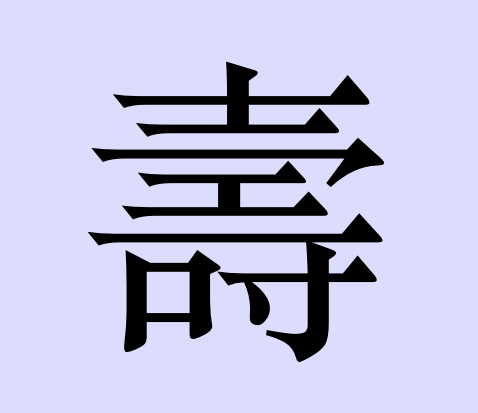 The same symbol in a serif font.